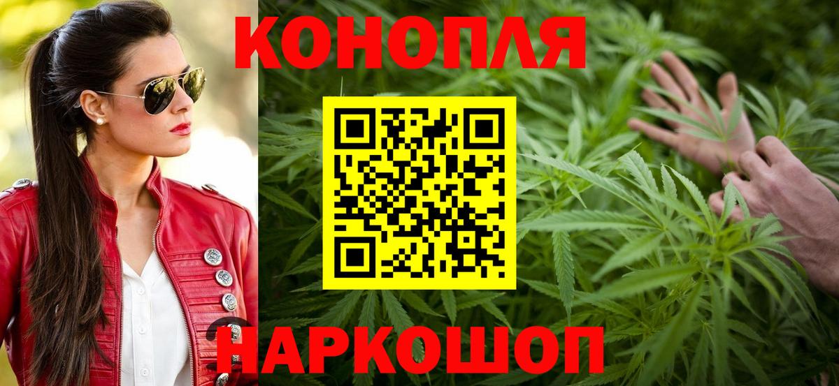 Конопля OG Kush Новошахтинск